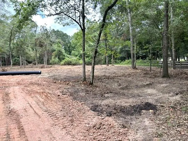 Pine Creek Road Hockley, TX 77447