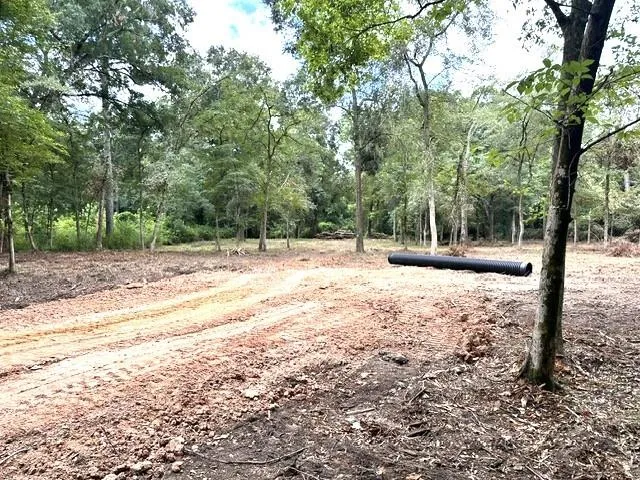 Pine Creek Road Hockley, TX 77447