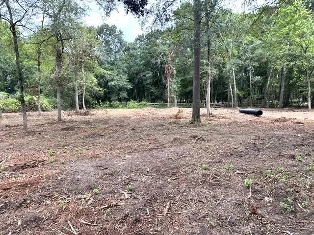 Pine Creek Road Hockley, TX 77447