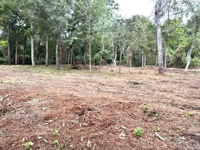 Pine Creek Road Hockley, TX 77447