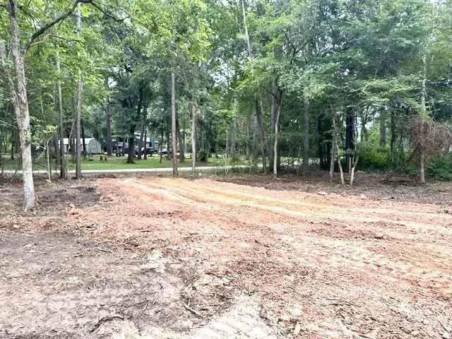 Pine Creek Road Hockley, TX 77447