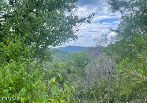 0 Lot 4 River Birch Way