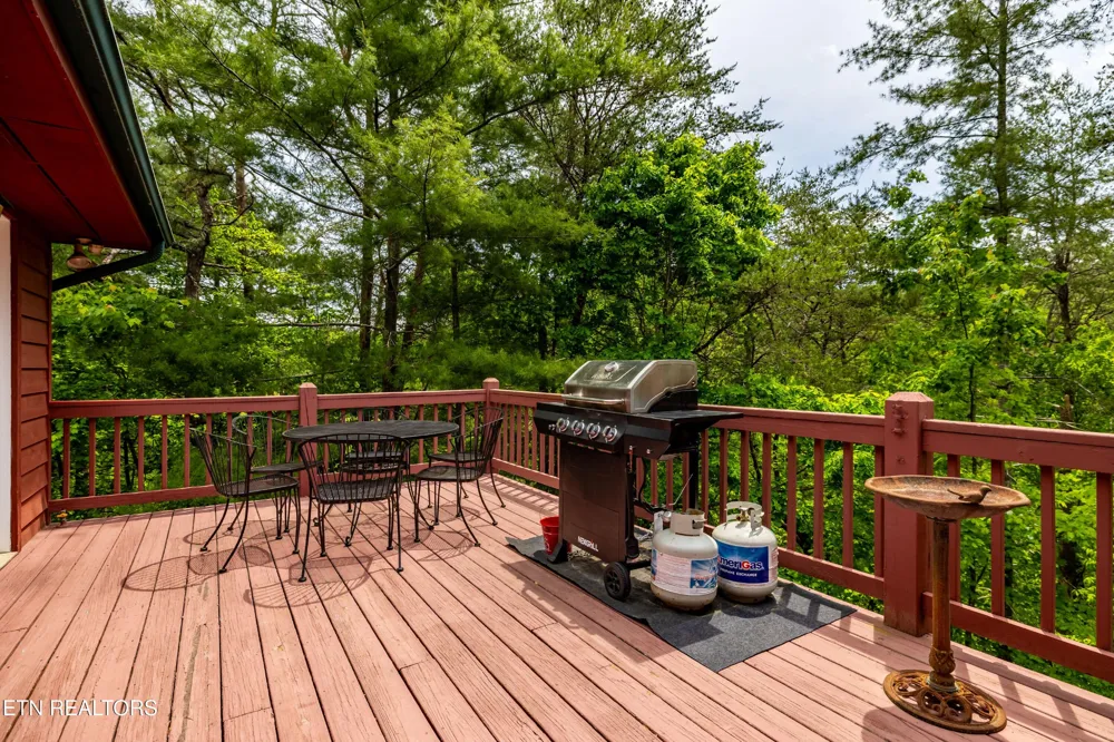 229 Cobblestone Way Townsend, TN 37882