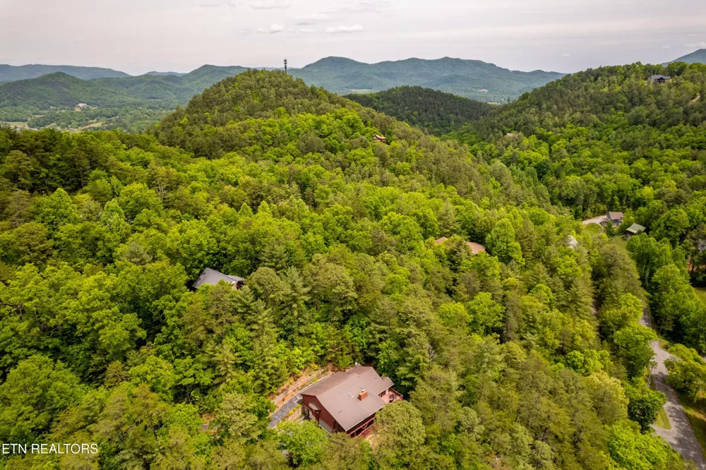229 Cobblestone Way Townsend, TN 37882