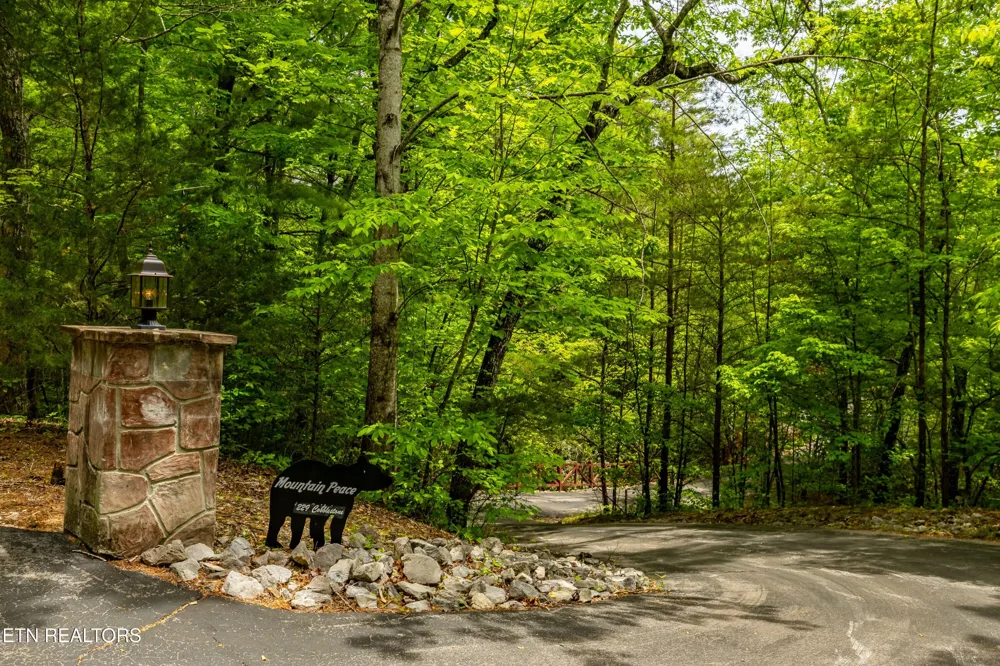 229 Cobblestone Way Townsend, TN 37882