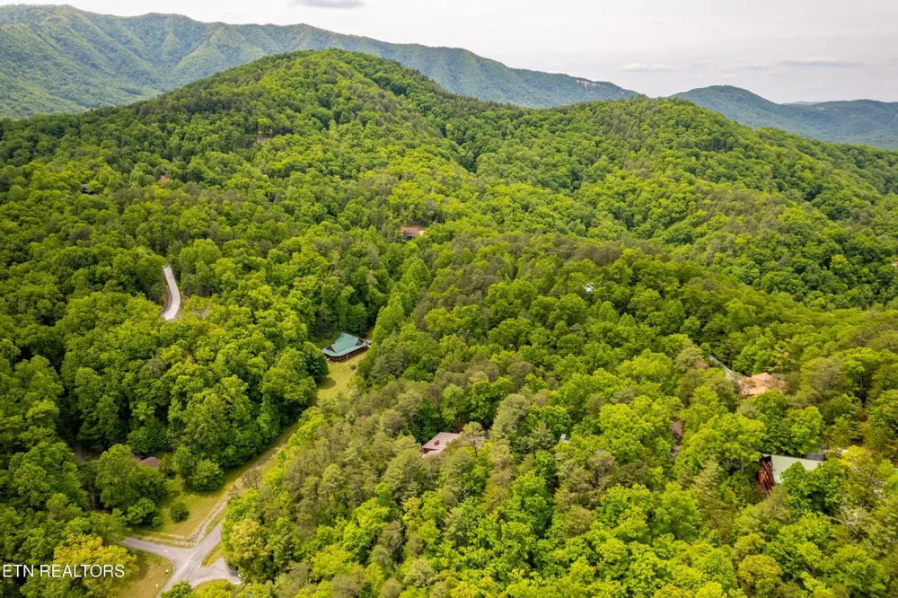 229 Cobblestone Way Townsend, TN 37882