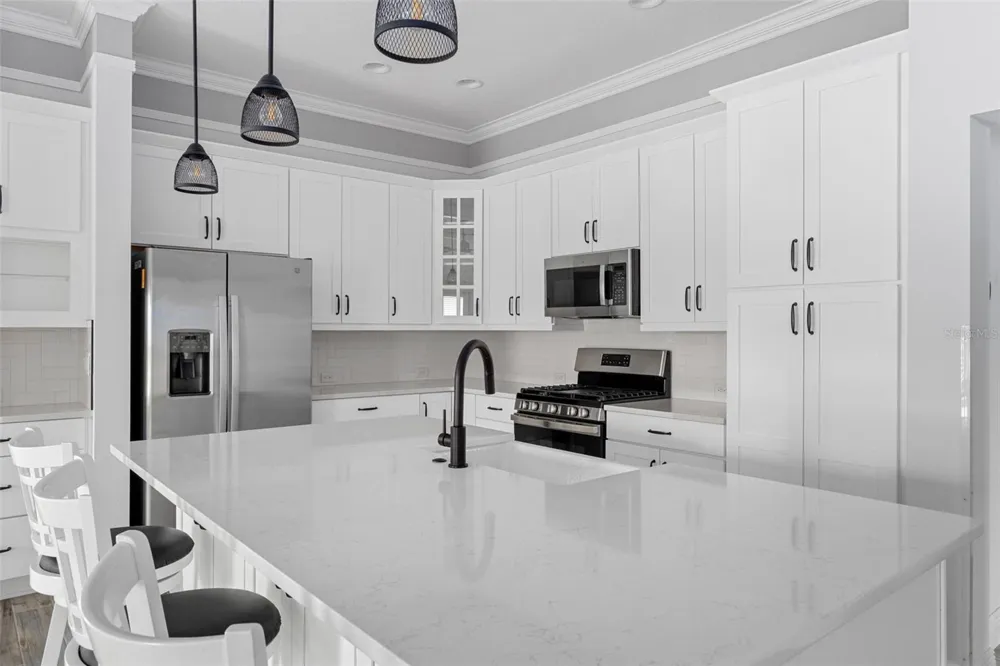 3037 LICCIARDELLO PATH The Villages, FL 32163