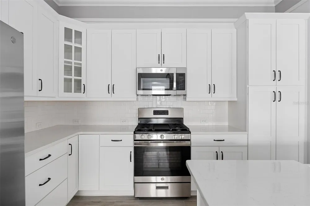 3037 LICCIARDELLO PATH The Villages, FL 32163