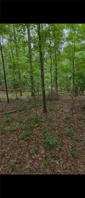 3467 Monica Lane SW Conyers, GA 30094