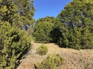 43094 Indian Blanket Drive Whitney, TX 76692