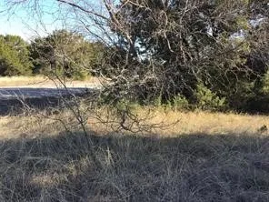 43094 Indian Blanket Drive Whitney, TX 76692
