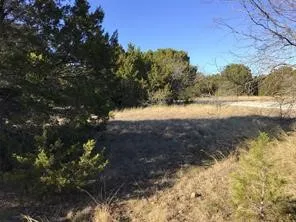 43094 Indian Blanket Drive Whitney, TX 76692