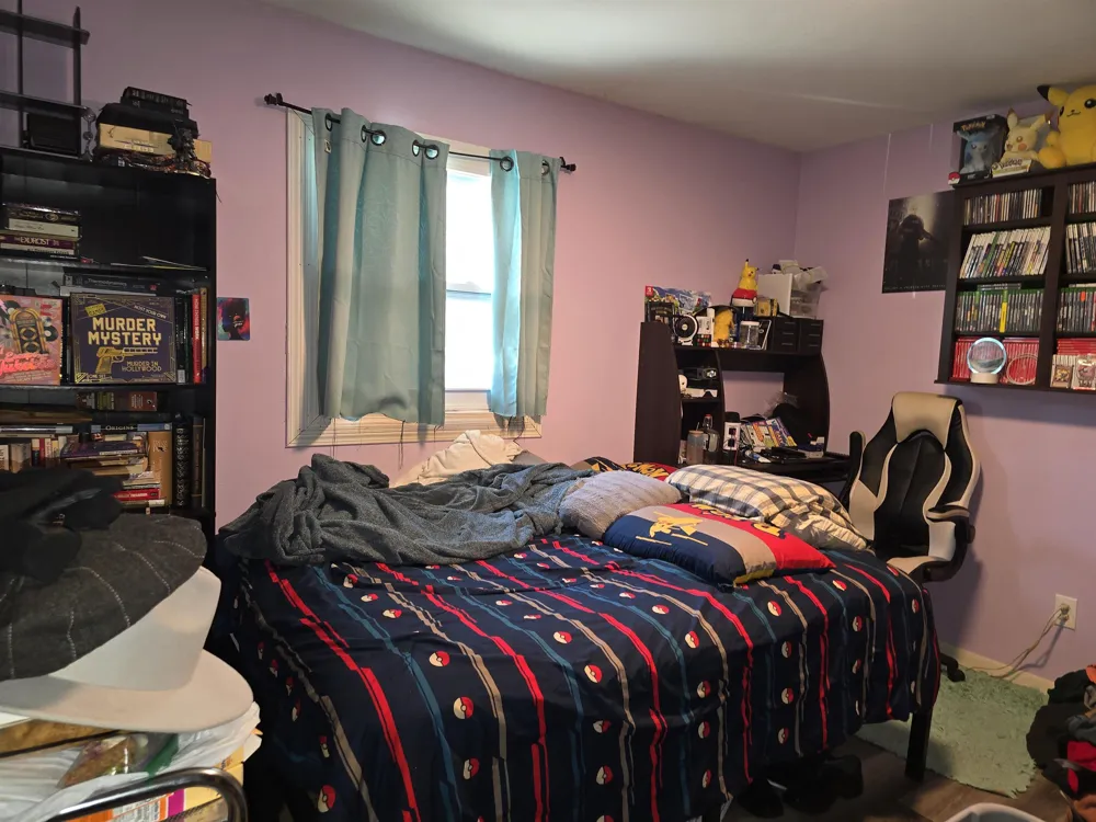 12573 Spruce Lane Perry Township, MI 48872