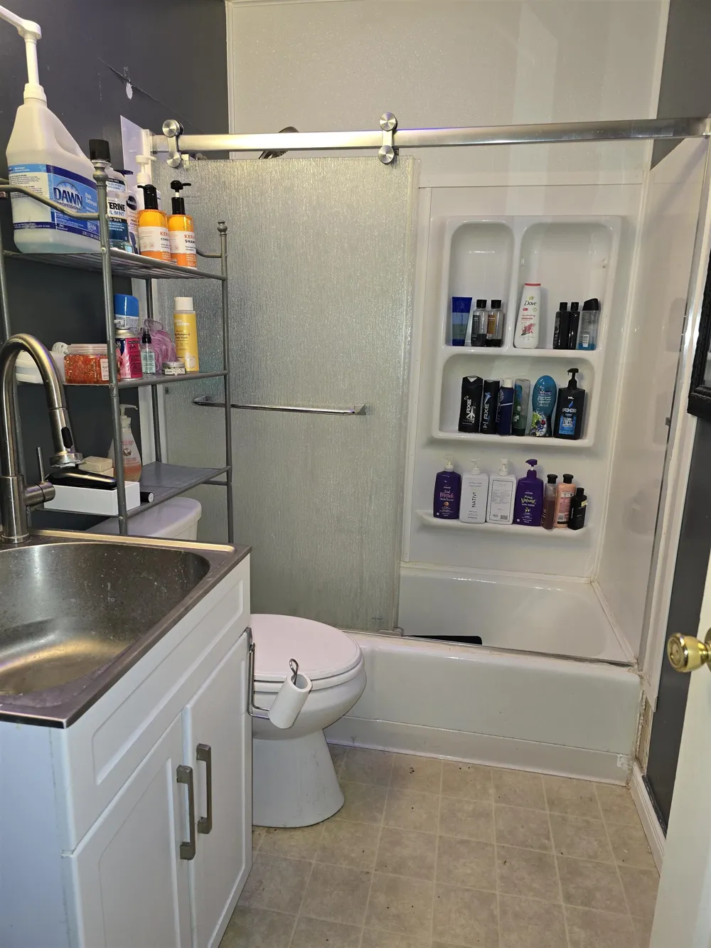 12573 Spruce Lane Perry Township, MI 48872