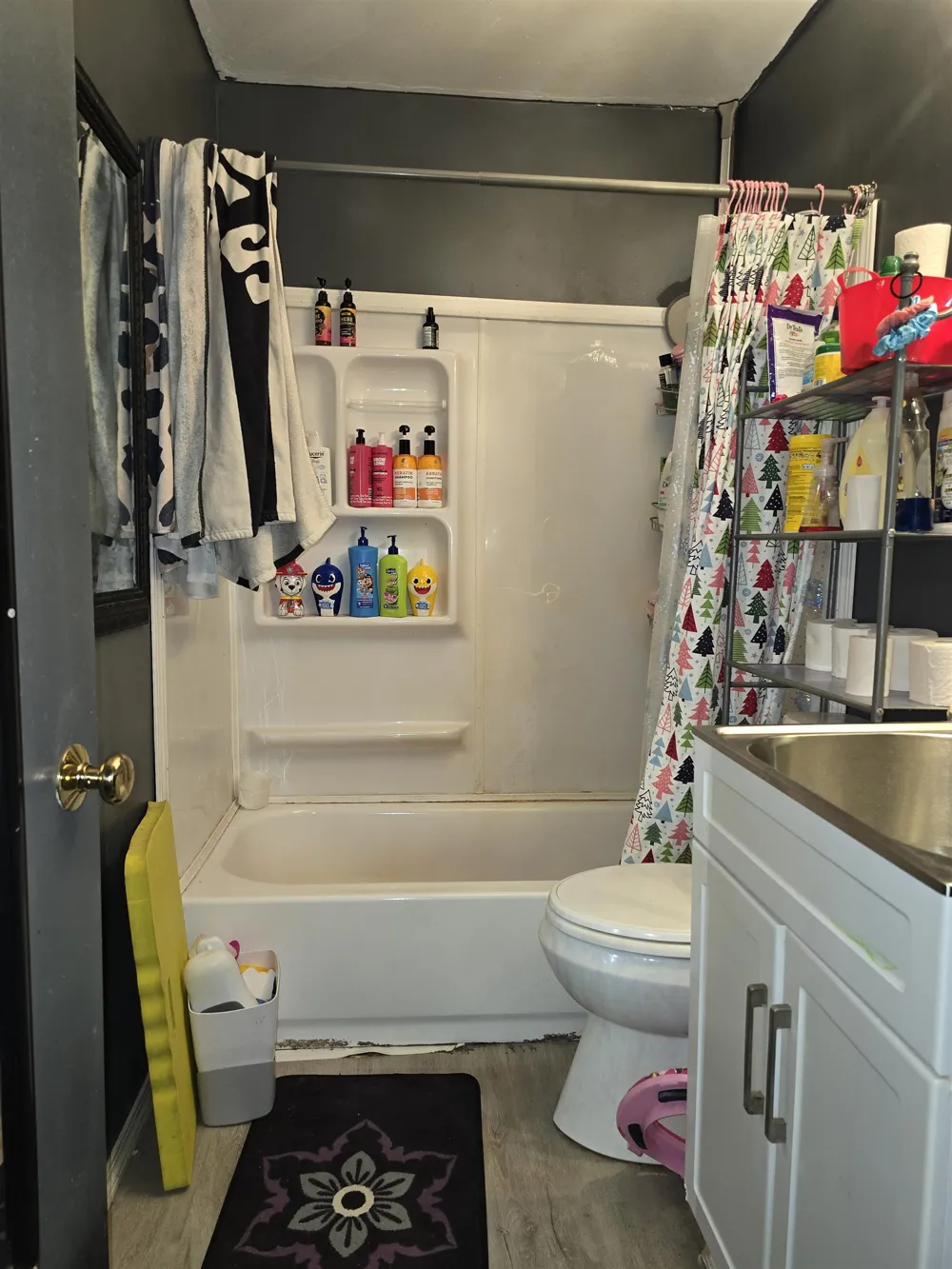 12573 Spruce Lane Perry Township, MI 48872