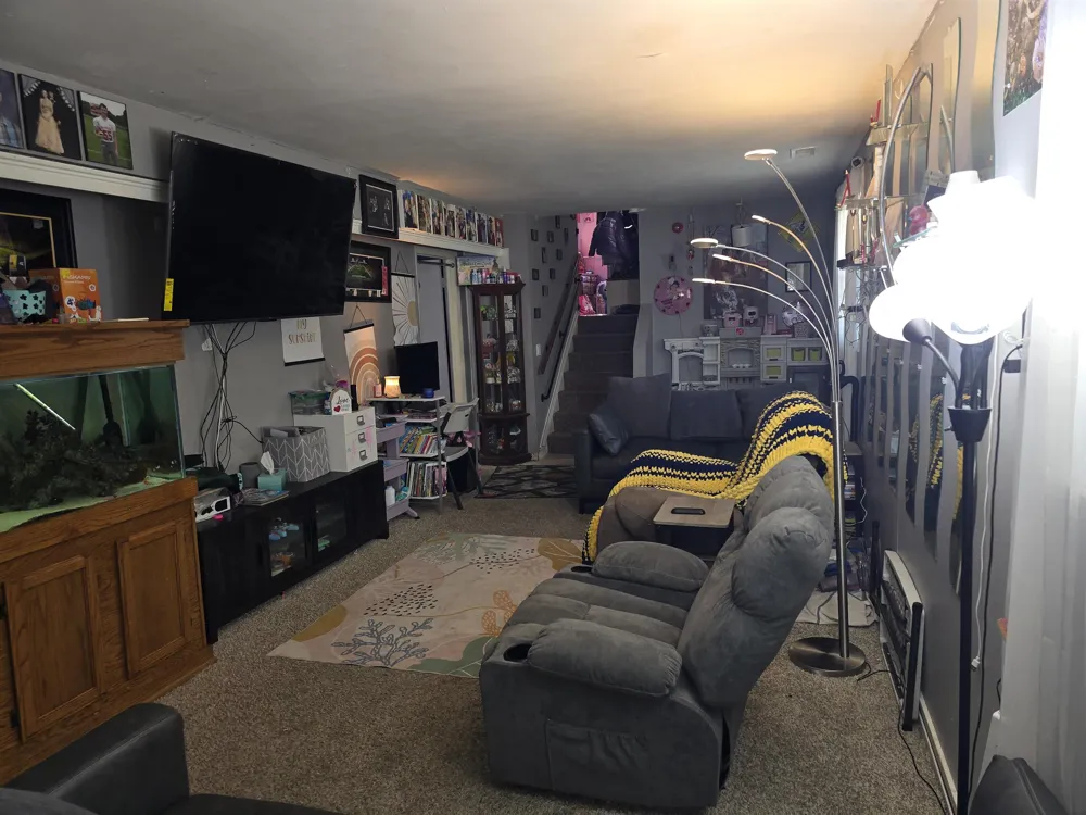 12573 Spruce Lane Perry Township, MI 48872