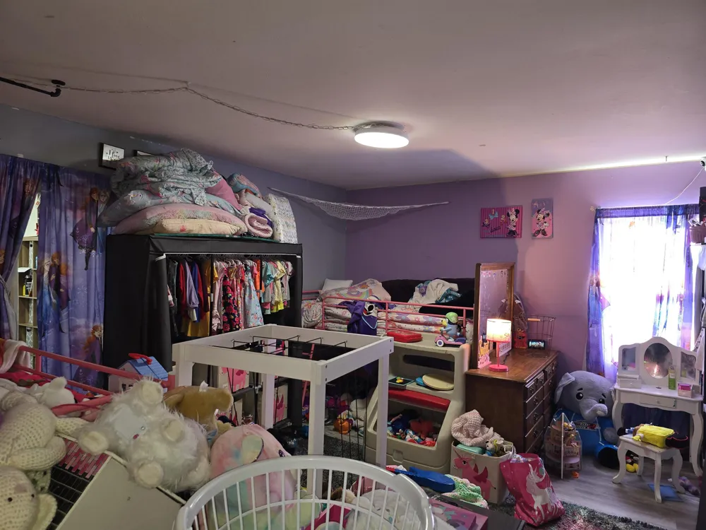 12573 Spruce Lane Perry Township, MI 48872