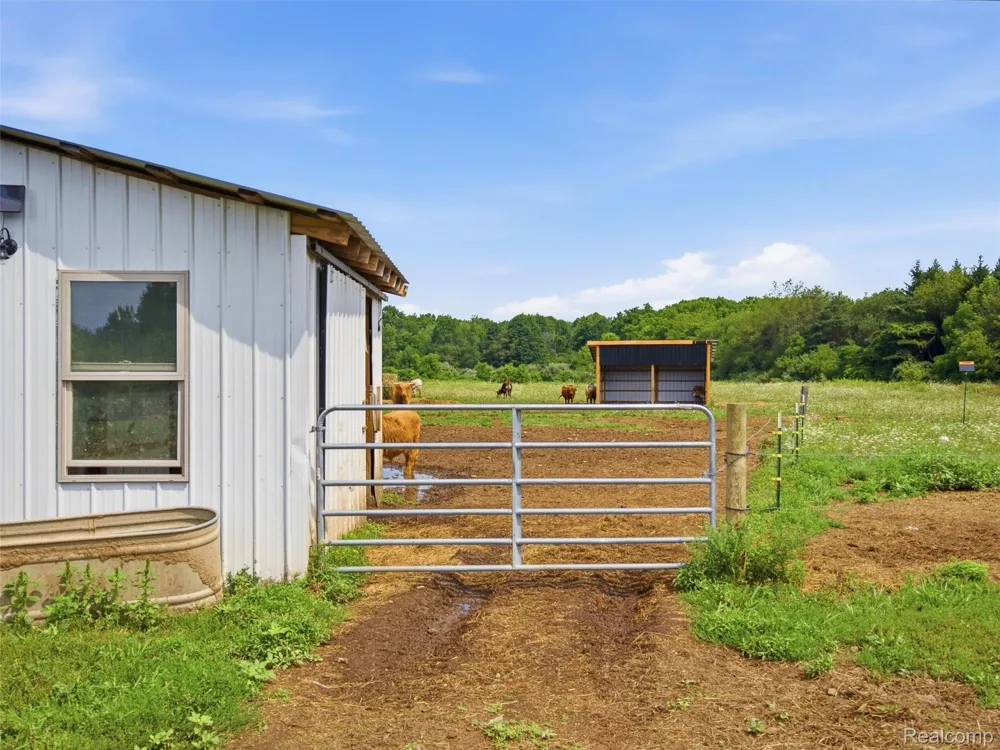 7241 Lyons Road Goodland Township, MI 48444