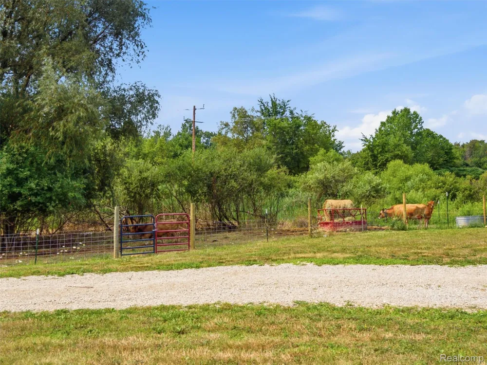 7241 Lyons Road Goodland Township, MI 48444