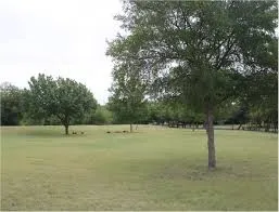 9493 Timberleaf Drive Dallas, TX 75243