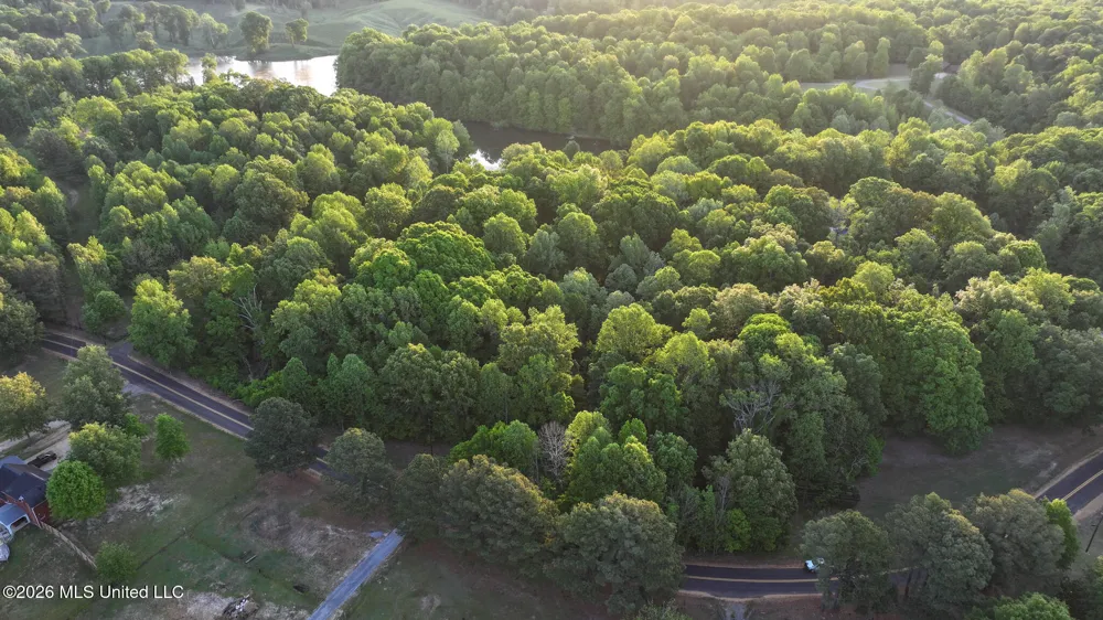 Tanyard Road Hernando, MS 38632