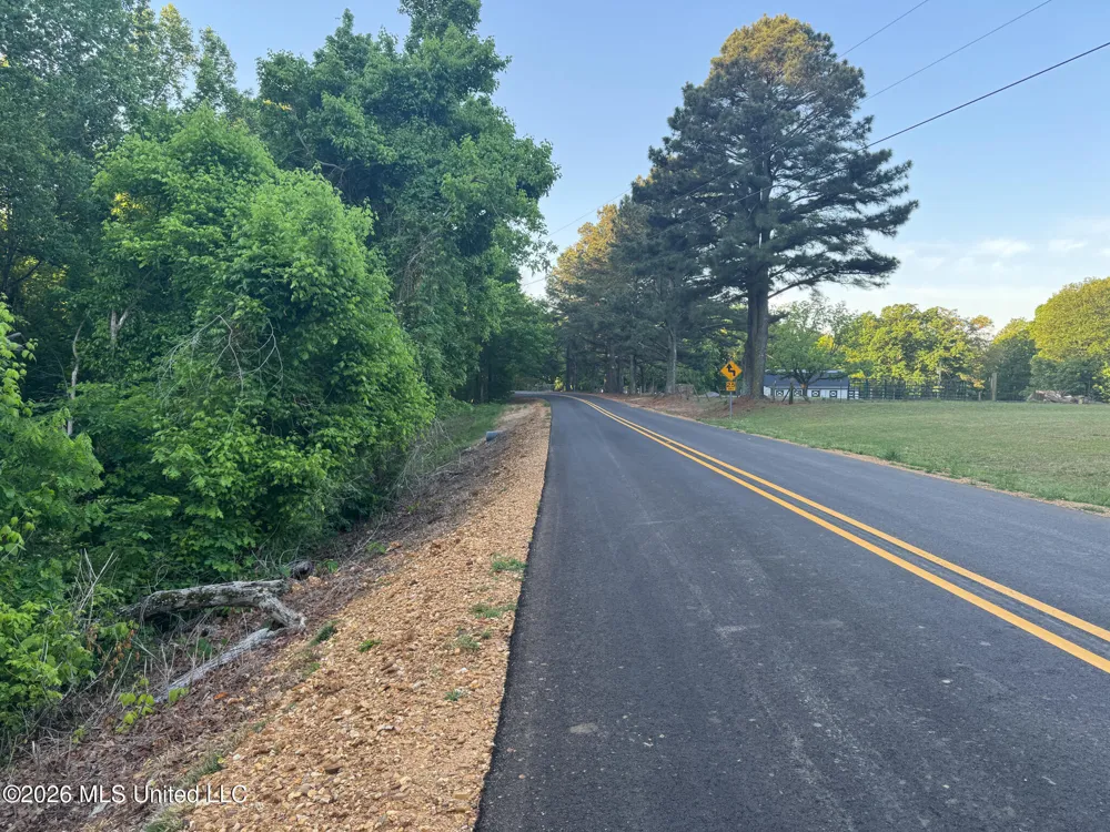 Tanyard Road Hernando, MS 38632