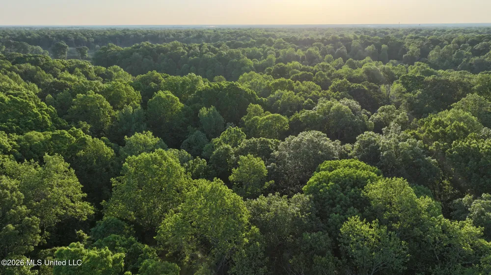Tanyard Road Hernando, MS 38632