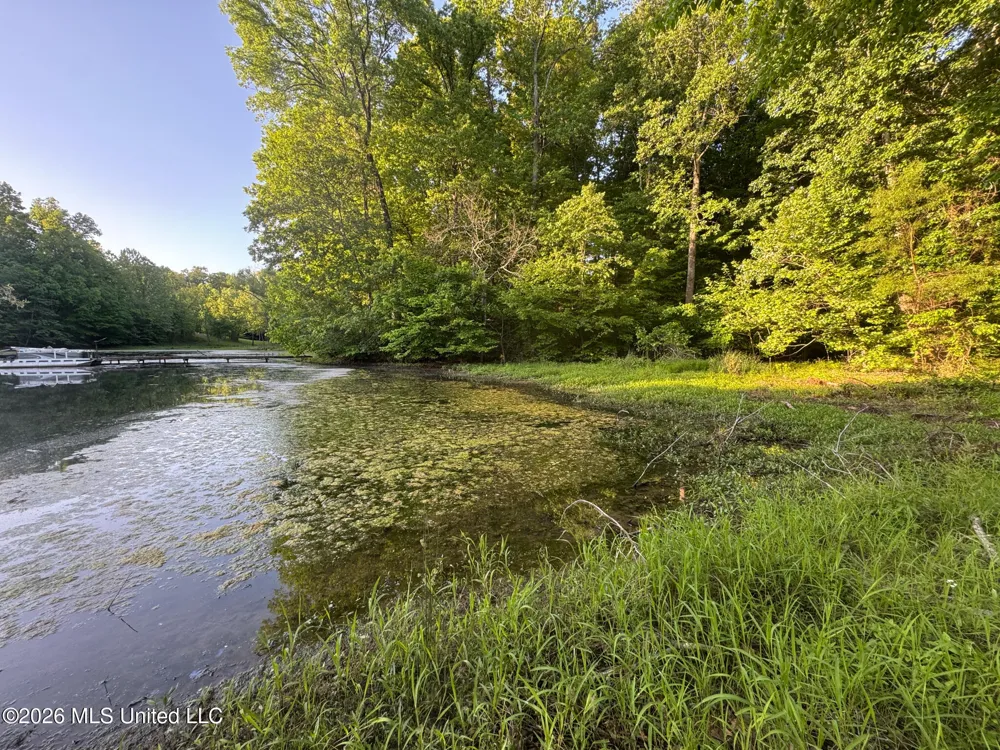 Tanyard Road Hernando, MS 38632