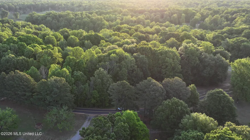 Tanyard Road Hernando, MS 38632