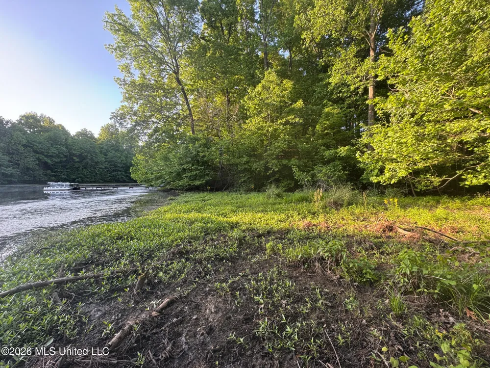 Tanyard Road Hernando, MS 38632