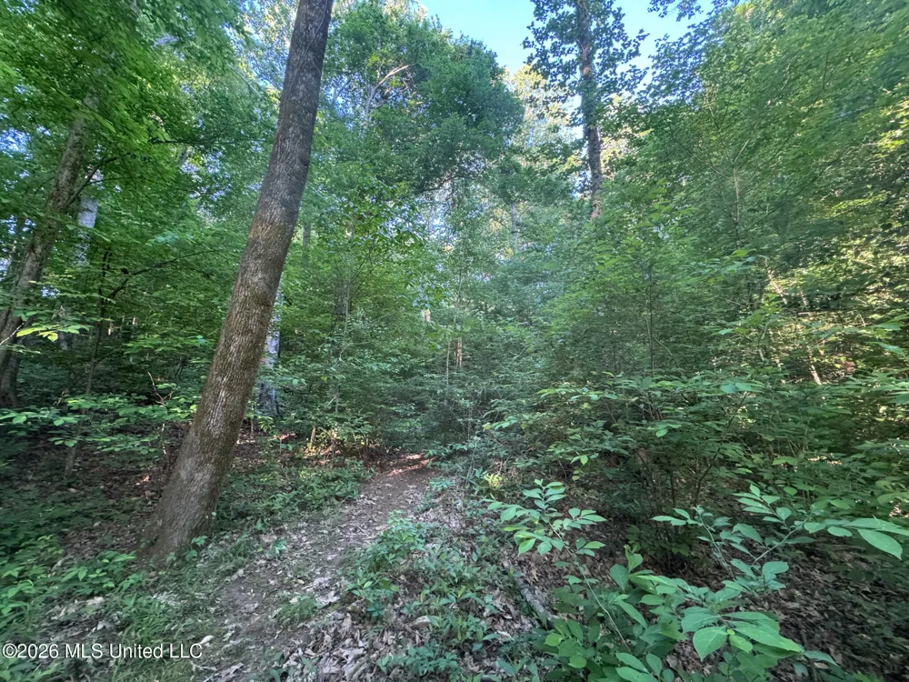 Tanyard Road Hernando, MS 38632