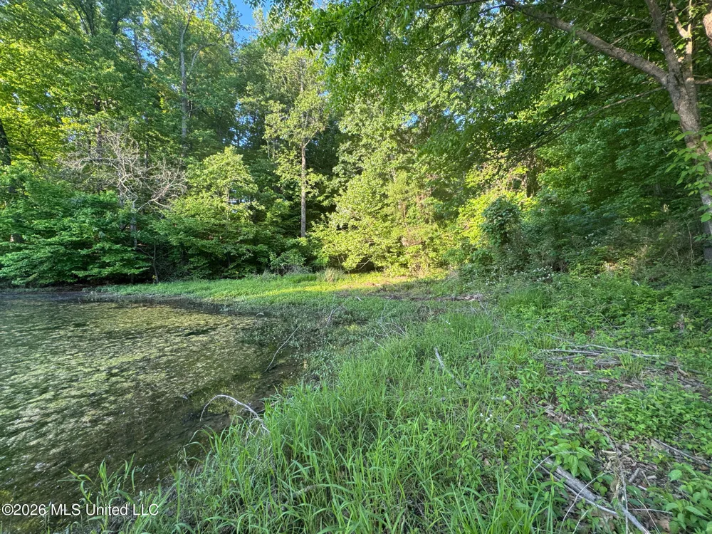 Tanyard Road Hernando, MS 38632