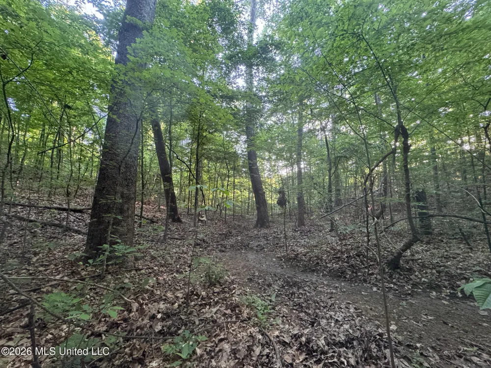 Tanyard Road Hernando, MS 38632