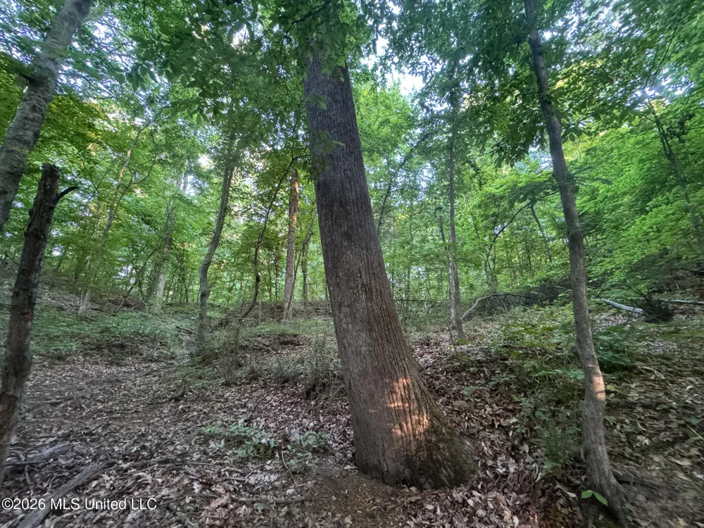 Tanyard Road Hernando, MS 38632