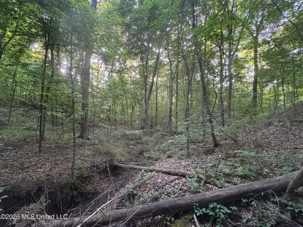Tanyard Road Hernando, MS 38632
