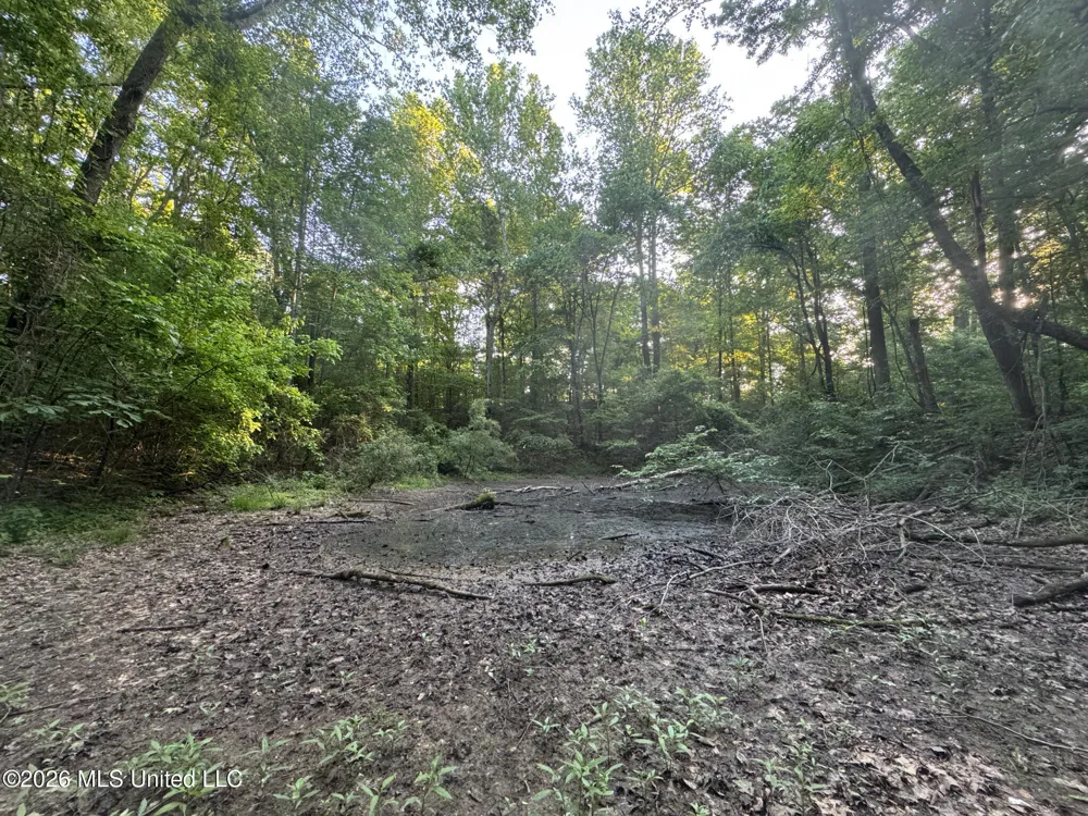 Tanyard Road Hernando, MS 38632