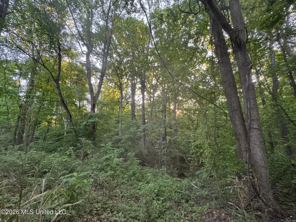 Tanyard Road Hernando, MS 38632