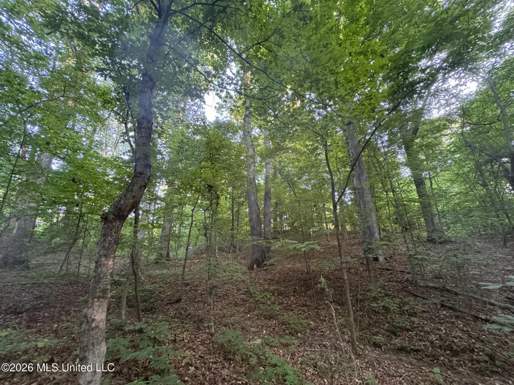 Tanyard Road Hernando, MS 38632