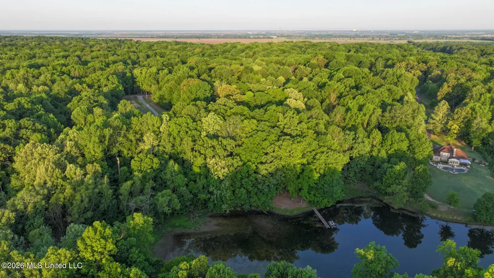 Tanyard Road Hernando, MS 38632