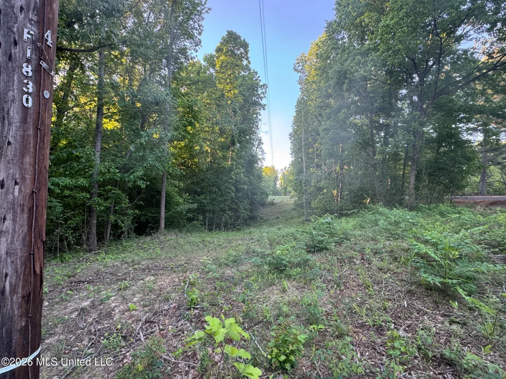 Tanyard Road Hernando, MS 38632