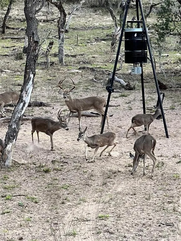 5185 CR 110 ROAD Falfurrias, TX 78355