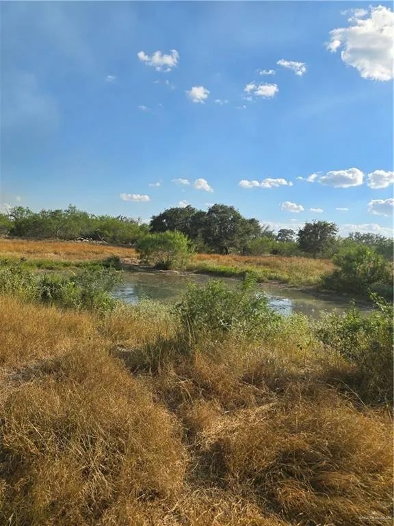 5185 CR 110 ROAD Falfurrias, TX 78355
