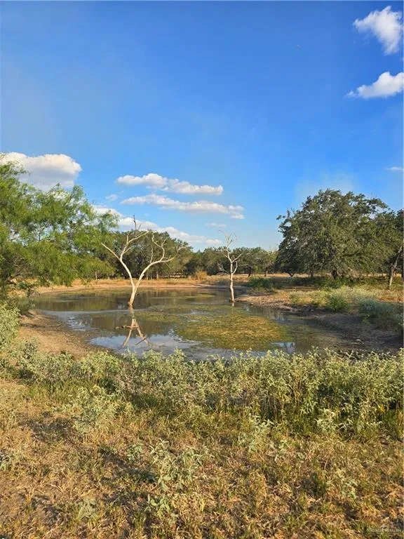 5185 CR 110 ROAD Falfurrias, TX 78355