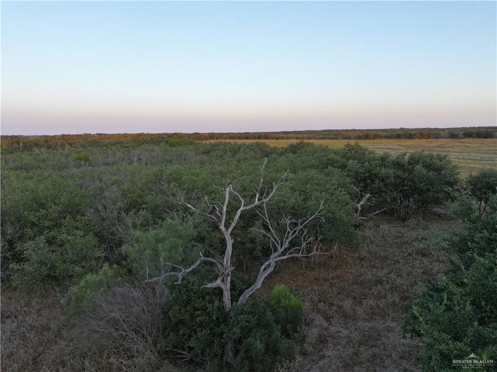 5185 CR 110 ROAD Falfurrias, TX 78355