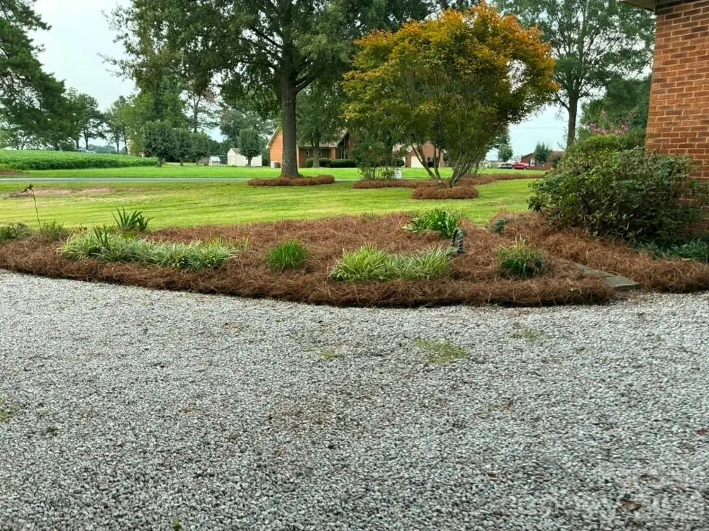 6426 Deep Springs Road Marshville, NC 28103