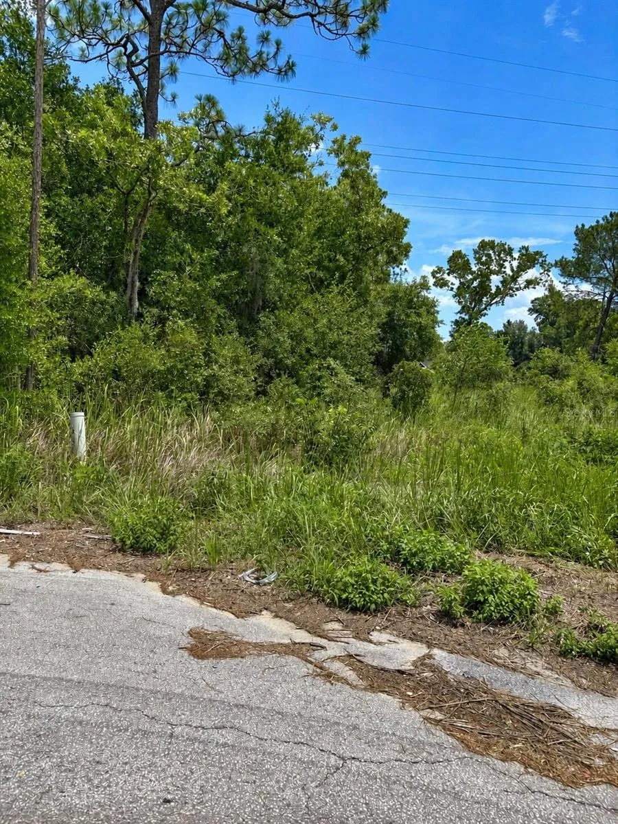 WATER TRACK LOT 08 ocala, FL 34477