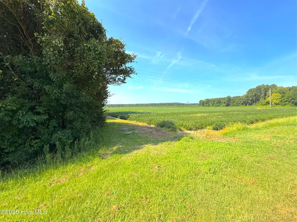 0 Us 264 Belhaven, NC 27810