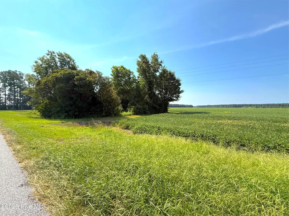 0 Us 264 Belhaven, NC 27810