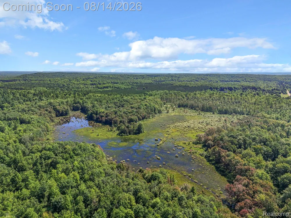 2738 S Thompsonville Road Weldon Township, MI 49683