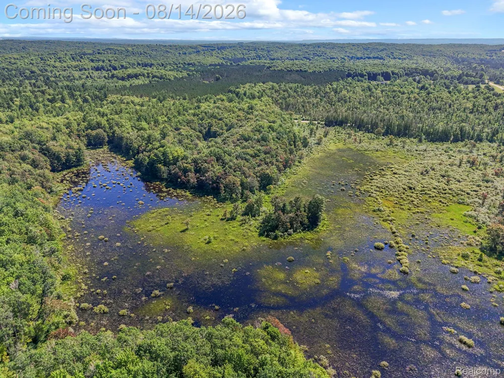 2738 S Thompsonville Road Weldon Township, MI 49683